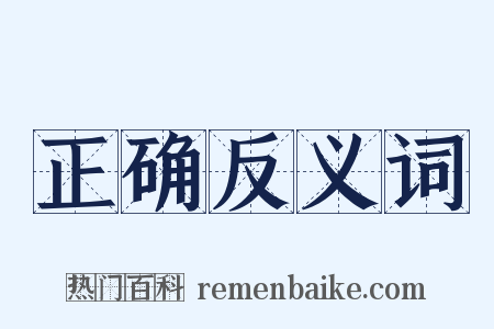 正确反义词是什么意思的图片